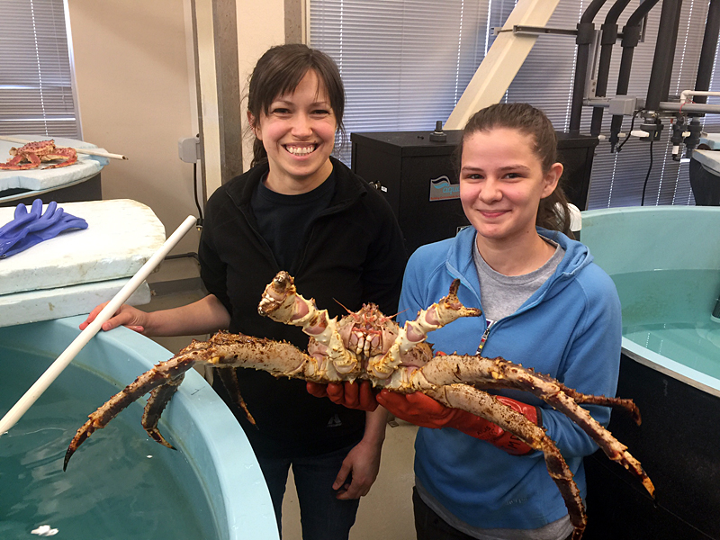 Ocean Associates staff holding a large crab